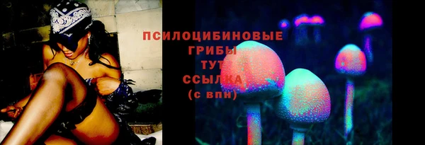 PSILOCYBIN Абдулино